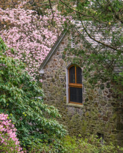 Spring-1020654_Edit_2289